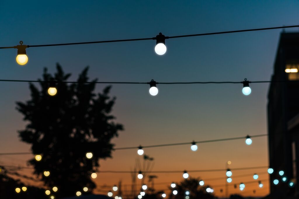 medium-TW_Festoon_AWW_03.jpg
