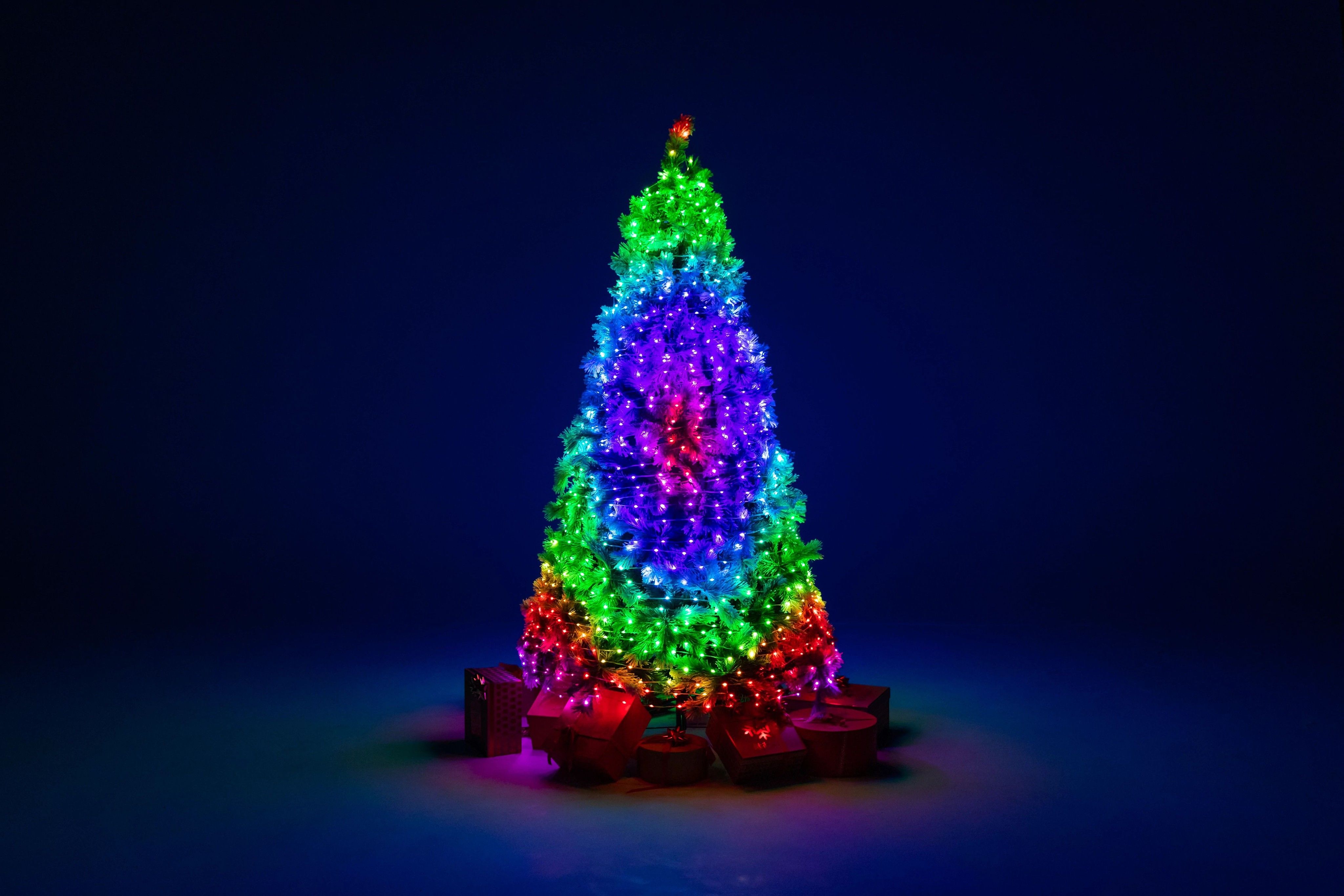 albero strings color.jpeg
