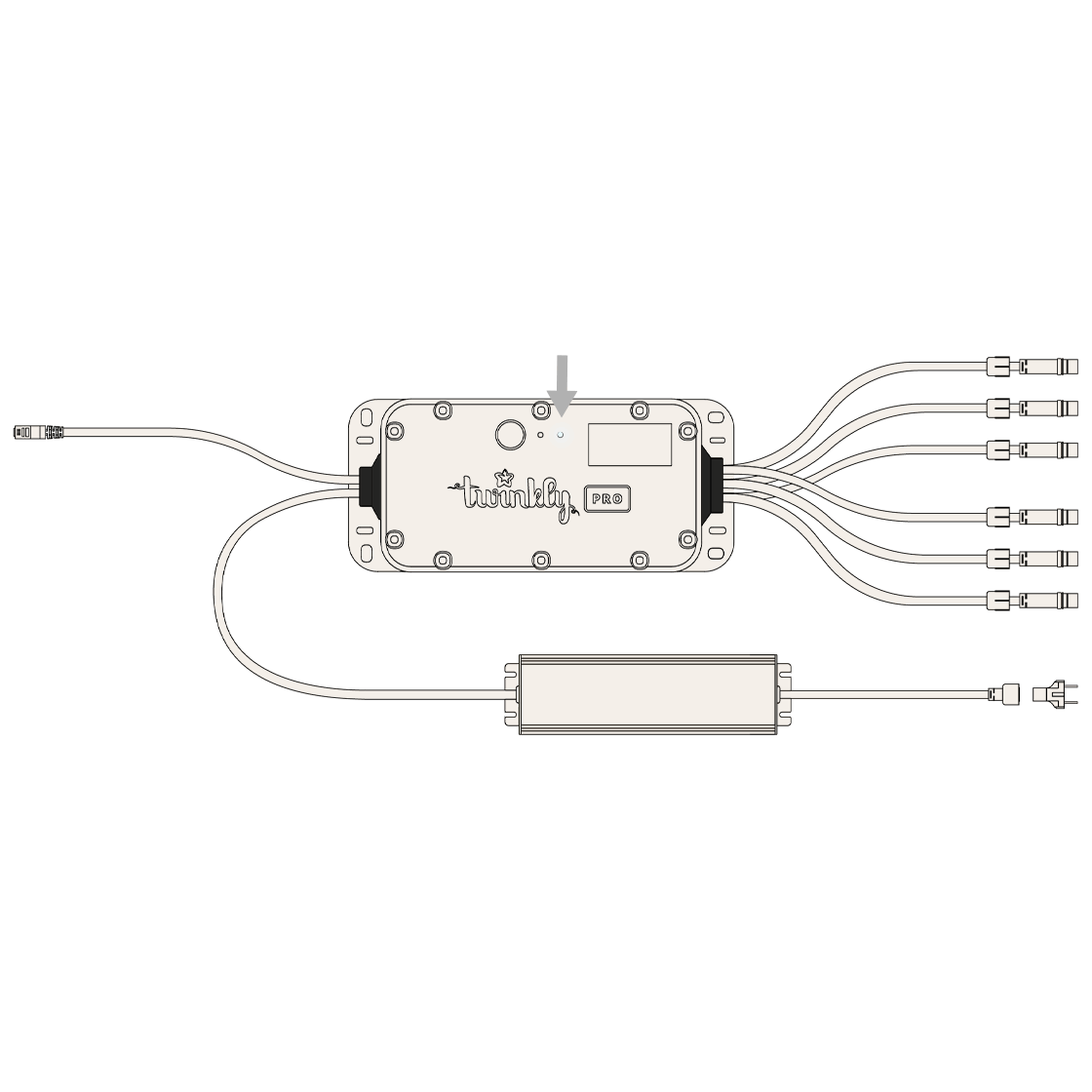 how do i reset my device? (twinkly pro & plus) Help Center