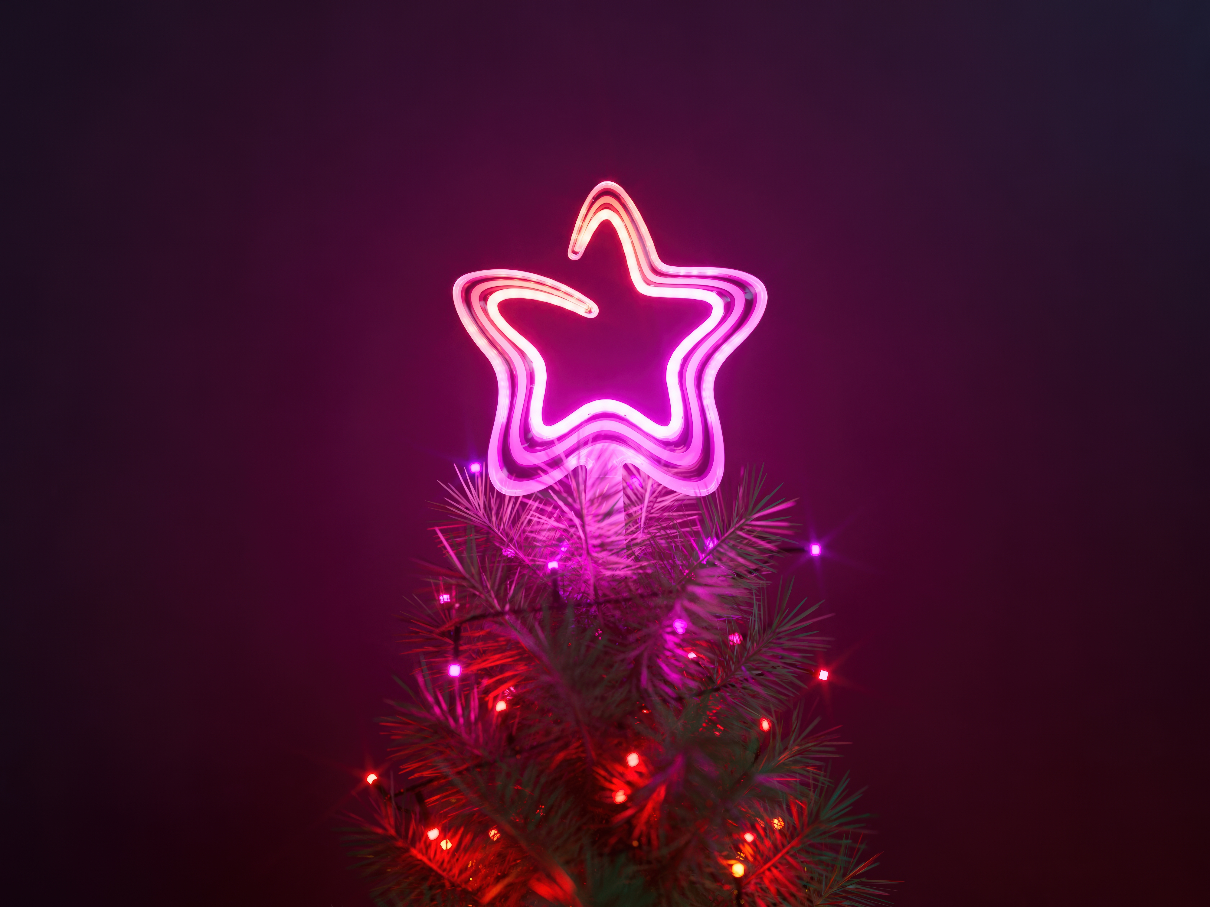 TreeTopper_Lifestyle_01.jpg