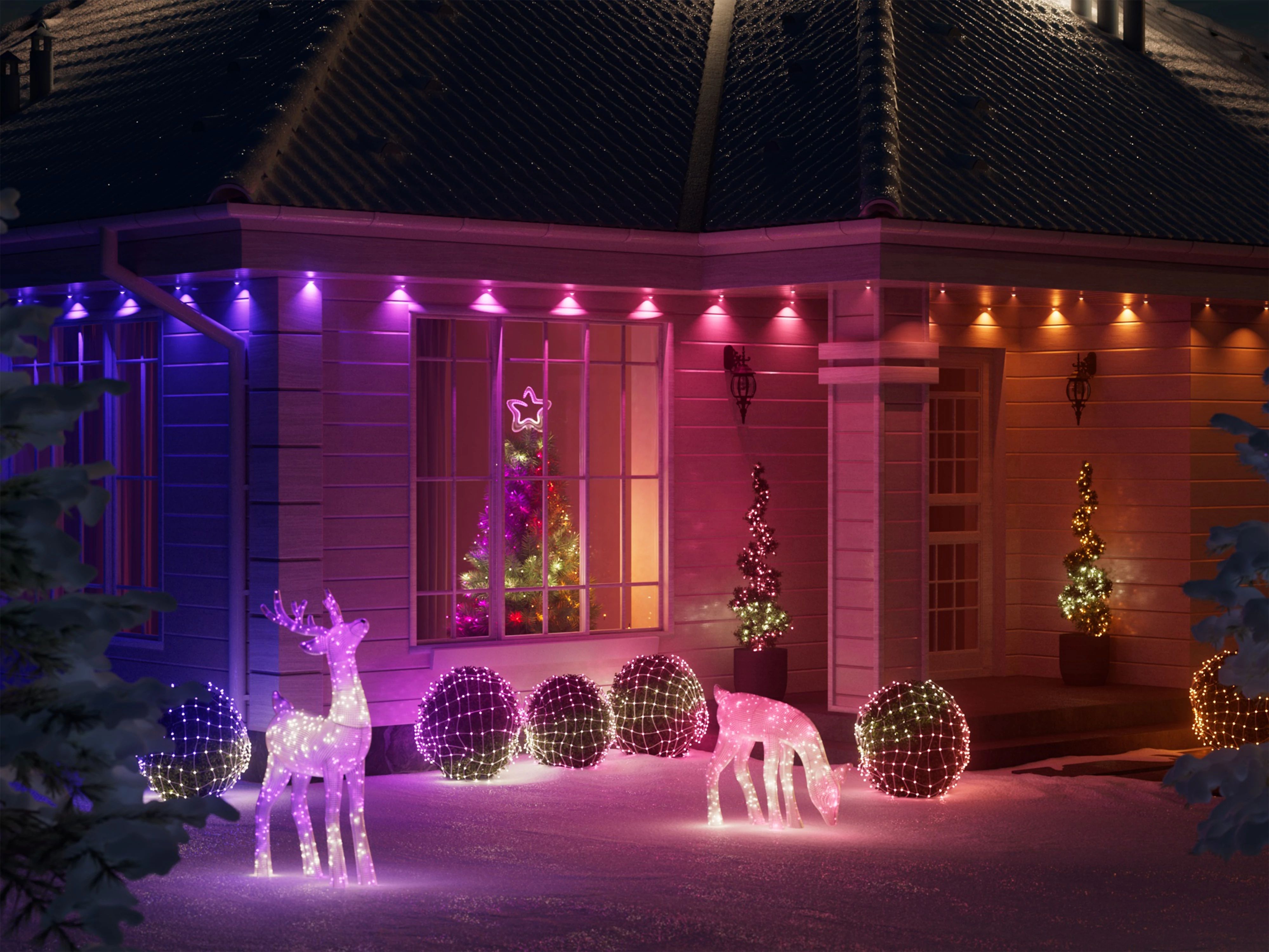 Reindeers_Lifestyle_04.jpg